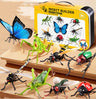 4D Assembled Educational Animal Toy Butterfly